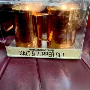 Penny copper salt and pepper shakers
